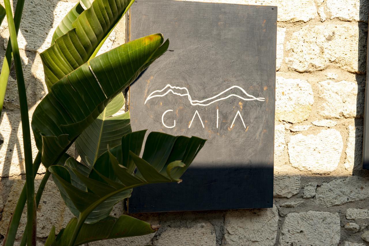Gaia 알라카티 외부 사진